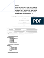 Instrumento de Investigación