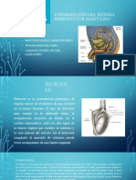 Enfermedades Del Sistema Reproductor Masculino