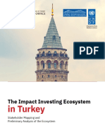 Impact Investing in Turkey - Web