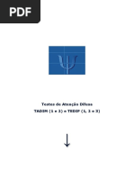 Teste AC Vetor de Atenção Concentrada | PDF | Atenção | Tempo