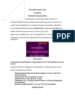 Pancreatitis Aguda en Gato. Tratamiento