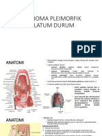 Adenoma Pleimorfik Palatum Durum