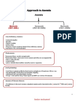 Approach To Anemia