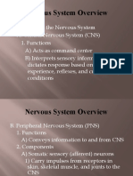 Central Nervous System