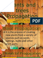 Methodsofpropagatingtrees 170601150827
