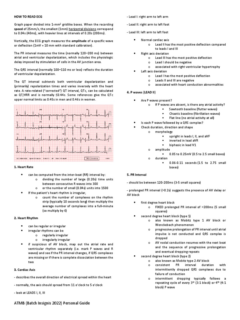 HOW TO READ ECG PDF Electrocardiography Physiology