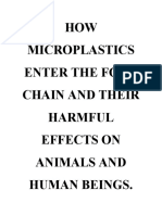 How Microplastics Enter The Food Chain and Their Harmful Effects On Animals and Human Beings
