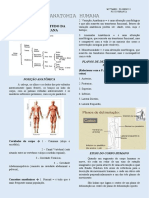 Monitoria - Introdução Ao Estudo Da Anatomia Humana