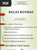 Diferenças entre Bos indicus e Bos taurus | PDF | Gado | Vitamina D