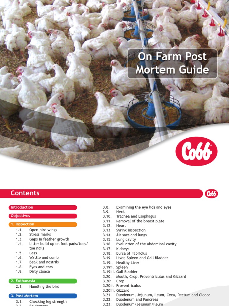 English On Farm Post Mortem Guide For Broilers PDF