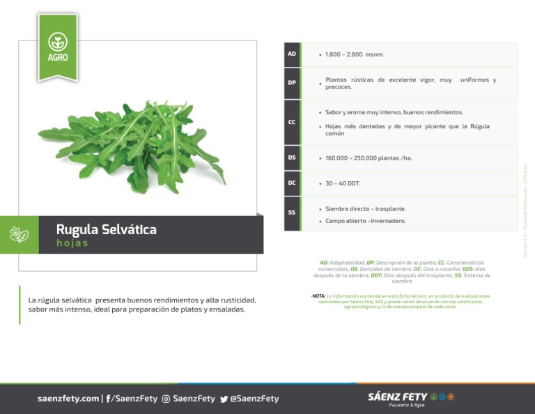 Rúgula Selvática: Cultivo y Características | PDF | Agricultura ...