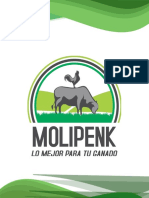 Carta de Presentación Clientes - Molipenk