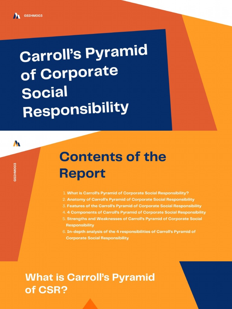 CarrollsTheoryReport PDF