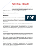 Proceso Del Desarrollo Embrionario (ApDE de Morfofisiología)