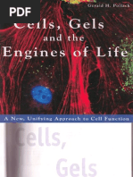 Download Pollack - Cells Gels And the Engines of Life by Joshua Galloway SN59289726 doc pdf