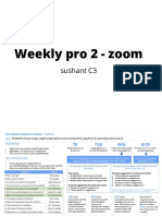 Weekly Pro 2 - Zoom