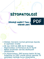 1 2 Sitopatoloji