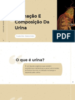 Formação e Composição Da Urina Slides