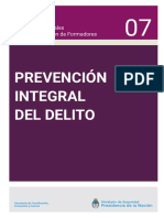 07 Prev. Integral Del Delito-1