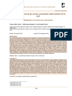 Efecto Cicatrizante de Los Aceites Ozonizados Sobre Lesiones de La Piel.