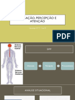 Sensação,+Percepção+e+Atenção+ (Cap +5+gazzaniga) +