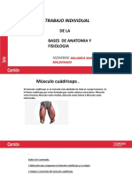 Trabajo Individual de Bases de Anatomia de Milagros