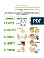 FICHA CIENCIAS - LOS SENTIDOS(1)