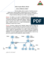 Taller de Repaso Mitosis y Meiosis