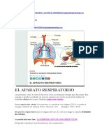 Link de Aparato Despiratorio