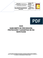 Guia Subcomité de Prevencion y Proteccion en Ibague