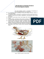 ASC 12 - The Avian Digestive System