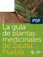 La guia de plantas medicinales de la region de Zautla_web