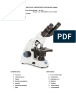 Partes y usos del microscopio