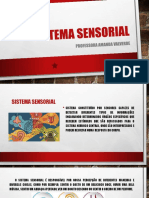 Sistema Sensorial