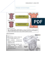 Patologia Mamaria Benigna UP 2