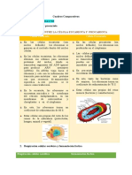 Cuadros Comparativos