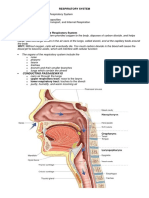 Respiratory System