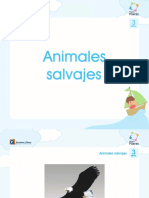 Flash Cards - Animales Salvajes (3 Años)