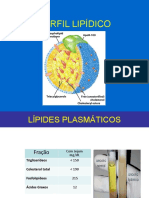 PERFIL LIPIDICO Bioquimica Clinica 2020-1