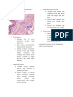 Histologi Sistem Pencernaan