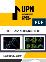 Teoría - Semana 3 - Metabolismo Nucleicos y Proteinas