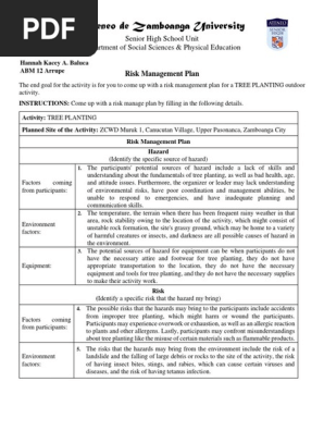 RISK MANAGEMENT PLAN