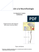 Introd. NeurofisiologiÌ A 020822