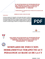 Seminario Induccion Herramientas Terapeuticas Basicas CT (Autoguardado)