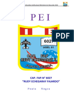 PEI 2020 - 2022 Rudy Echegaray Fajardo