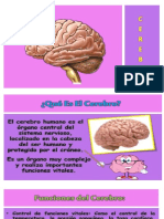 El Cerebro - Edith