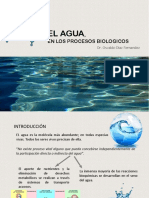 Tema Agua