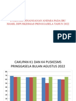 Evaluasi Penanganan Anemia Pringgasela-1