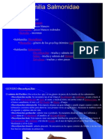 TAxonomia Salmones