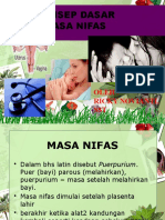 MASA NIFAS